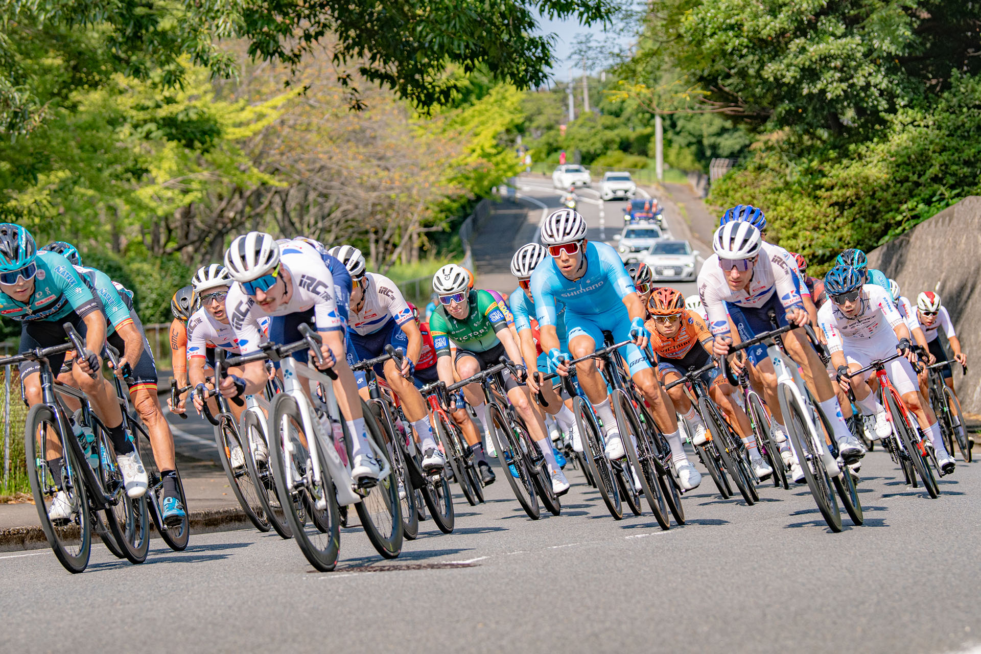 希少】ブロッターアート 自転車の日 ビンテージ オランダ 43-93